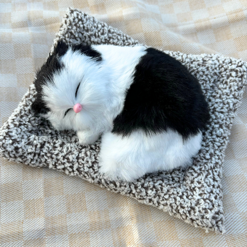 Cute Sleeping Cat Plush Toy with Meow Sound, Heart-Melting Gift for Loved Ones